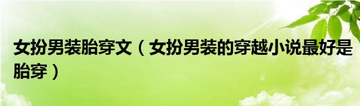女扮男装胎穿文(女扮男装的穿越小说最好是胎穿)