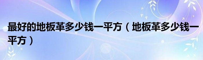 最好的地板革多少钱一平方(地板革多少钱一平方)