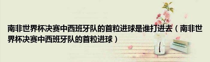 南非世界杯决赛中西班牙队的首粒进球是谁打进去(南非世界杯决赛中西班牙队的首粒进球)