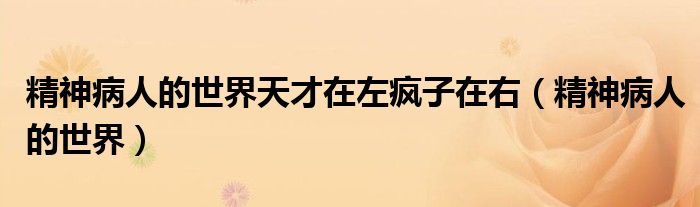 精神病人的世界天才在左疯子在右(精神病人的世界)