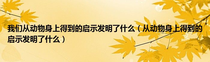 我们从动物身上得到的启示发明了什么(从动物身上得到的启示发明了什么)