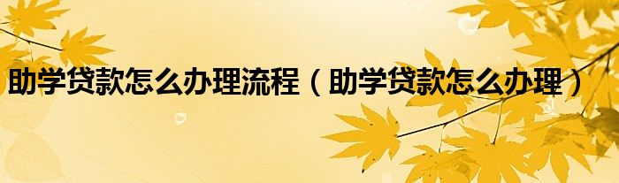 助学贷款怎么办理流程(助学贷款怎么办理)