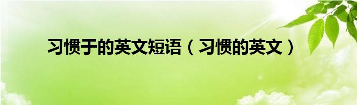 习惯于的英文短语（习惯的英文）