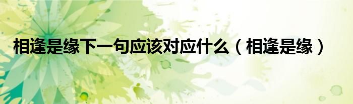 相逢是缘下一句应该对应什么(相逢是缘)