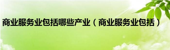 商业服务业包括哪些产业(商业服务业包括)