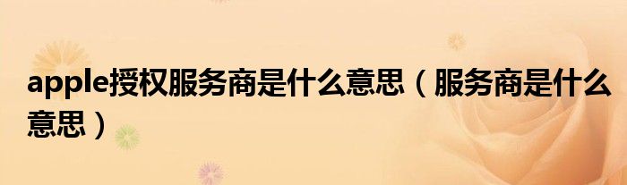 apple授权服务商是什么意思(服务商是什么意思)