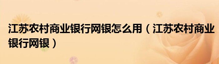 江苏农村商业银行网银怎么用(江苏农村商业银行网银)