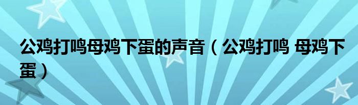 公鸡打鸣母鸡下蛋的声音(公鸡打鸣 母鸡下蛋)