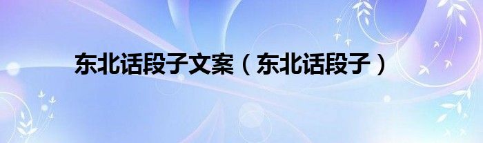 东北话段子文案(东北话段子)