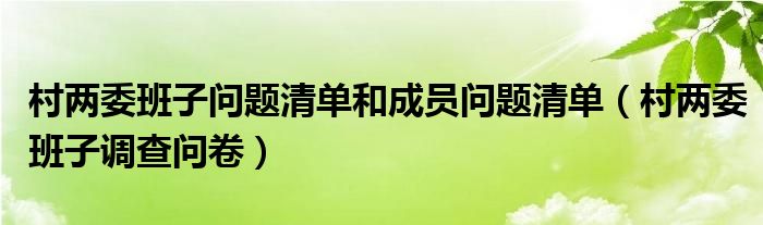 村两委班子问题清单和成员问题清单（村两委班子调查问卷）