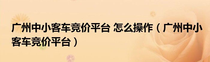 广州中小客车竞价平台 怎么操作(广州中小客车竞价平台)