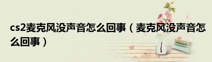 cs2麦克风没声音怎么回事(麦克风没声音怎么回事)