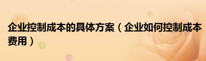 企业控制成本的具体方案(企业如何控制成本费用)