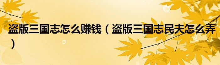 盗版三国志怎么赚钱(盗版三国志民夫怎么弄)