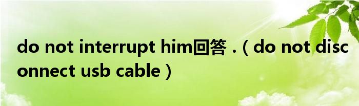 do not interrupt him回答 .(do not disconnect usb cable)