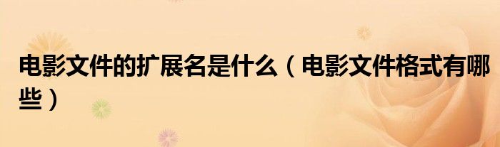 电影文件的扩展名是什么(电影文件格式有哪些)