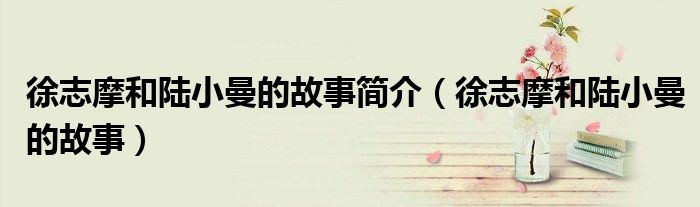 徐志摩和陆小曼的故事简介(徐志摩和陆小曼的故事)