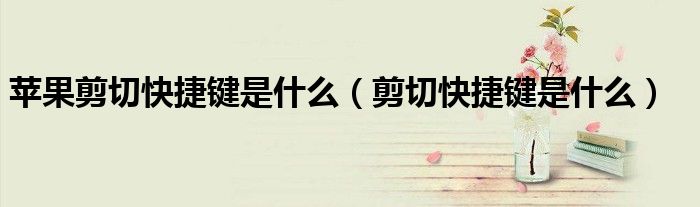 苹果剪切快捷键是什么(剪切快捷键是什么)