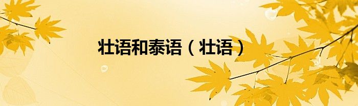 壮语和泰语（壮语）