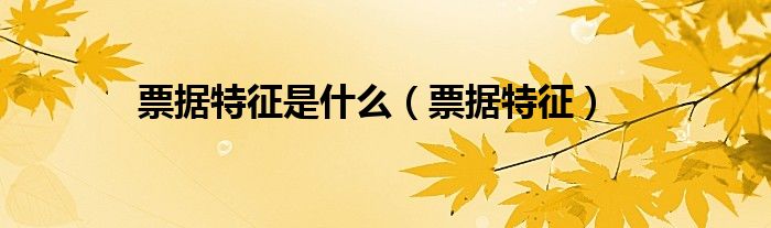 票据特征是什么(票据特征)