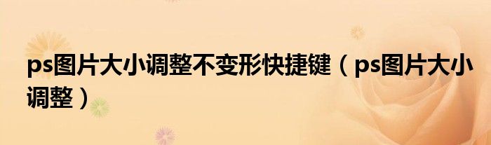 ps图片大小调整不变形快捷键(ps图片大小调整)