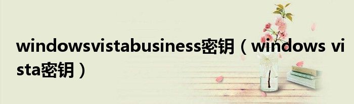 windowsvistabusiness密钥(windows vista密钥)