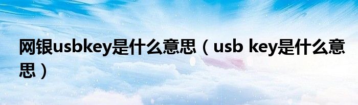 网银usbkey是什么意思(usb key是什么意思)