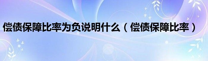 偿债保障比率为负说明什么(偿债保障比率)