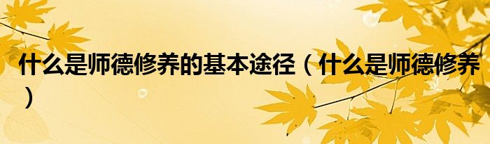 什么是师德修养的基本途径(什么是师德修养)