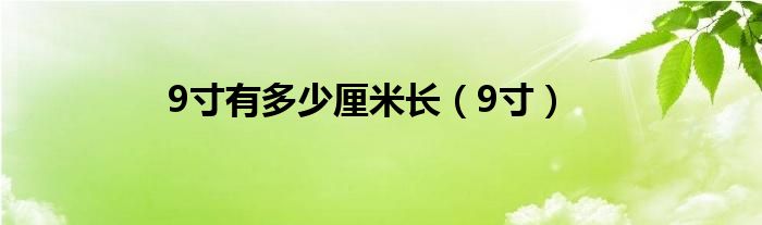 9寸有多少厘米长(9寸)