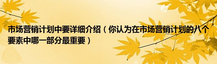 市场营销计划中要详细介绍(你认为在市场营销计划的八个要素中哪一部分最重要)