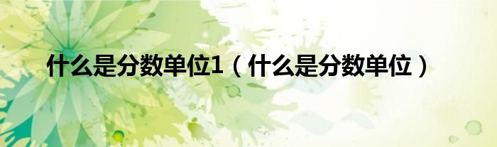 什么是分数单位1(什么是分数单位)