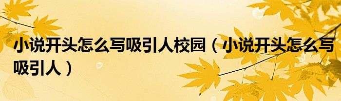 小说开头怎么写吸引人校园(小说开头怎么写吸引人)