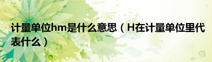 计量单位hm是什么意思(H在计量单位里代表什么)