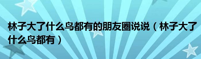 林子大了什么鸟都有的朋友圈说说(林子大了什么鸟都有)