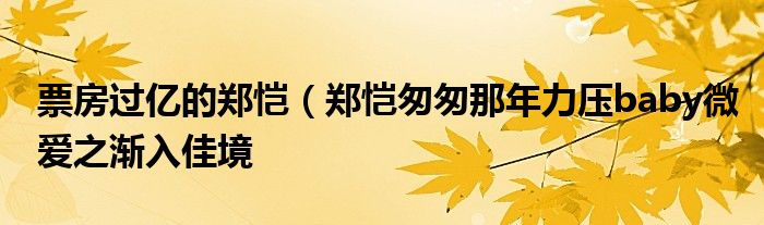 票房过亿的郑恺(郑恺匆匆那年力压baby微爱之渐入佳境