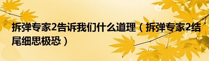 拆弹专家2告诉我们什么道理(拆弹专家2结尾细思极恐)