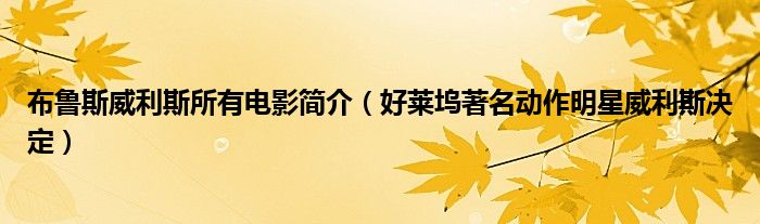 布鲁斯威利斯所有电影简介(好莱坞著名动作明星威利斯决定)