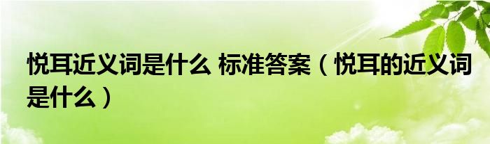 悦耳近义词是什么 标准答案(悦耳的近义词是什么)