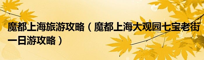 魔都上海旅游攻略(魔都上海大观园七宝老街一日游攻略)