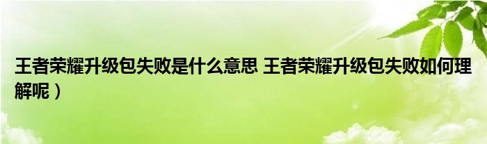王者荣耀升级包失败是什么意思 王者荣耀升级包失败如何理解呢)