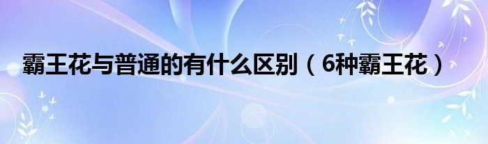 霸王花与普通的有什么区别(6种霸王花)