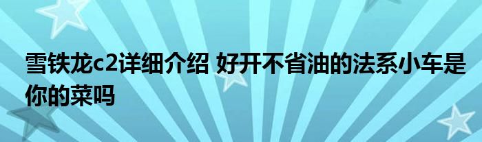雪铁龙c2详细介绍 好开不省油的法系小车是你的菜吗