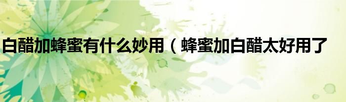 白醋加蜂蜜有什么妙用(蜂蜜加白醋太好用了