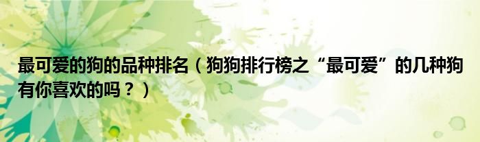最可爱的狗的品种排名(狗狗排行榜之“最可爱”的几种狗有你喜欢的吗?)