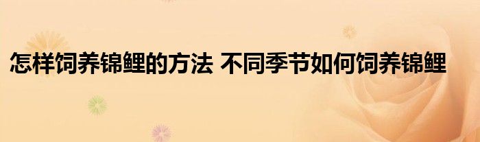 怎样饲养锦鲤的方法 不同季节如何饲养锦鲤