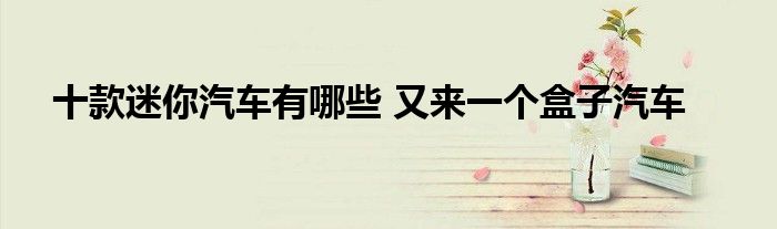 十款迷你汽车有哪些 又来一个盒子汽车