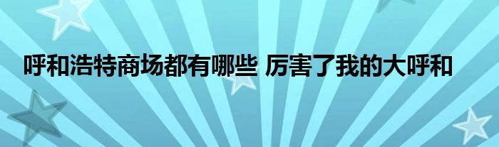 呼和浩特商场都有哪些 厉害了我的大呼和