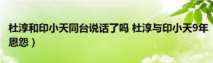 杜淳和印小天同台说话了吗 杜淳与印小天9年恩怨)