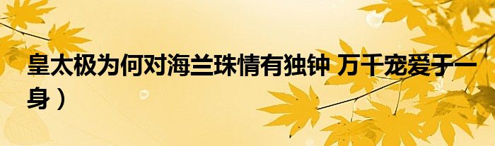 皇太极为何对海兰珠情有独钟 万千宠爱于一身)
